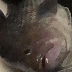 Meet your Posher, Arianna